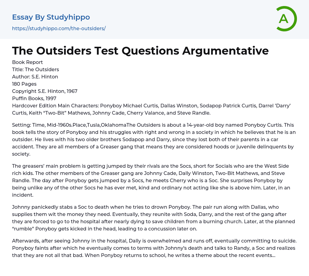 The Outsiders Test Questions Argumentative Essay Example