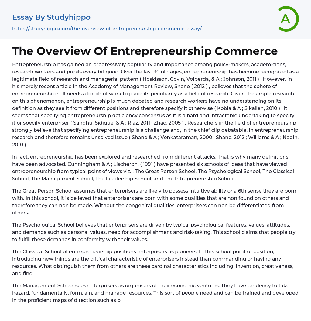 The Overview Of Entrepreneurship Commerce Essay Example