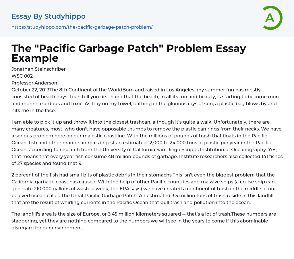 The “Pacific Garbage Patch” Problem Essay Example