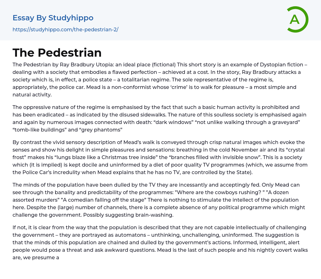 The Pedestrian Essay Example