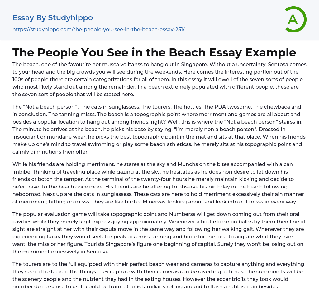 The People You See in the Beach Essay Example