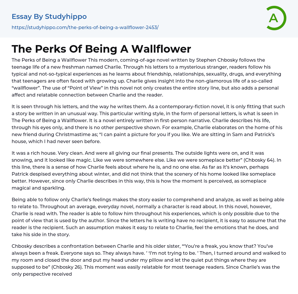 The Perks Of Being A Wallflower Essay Example