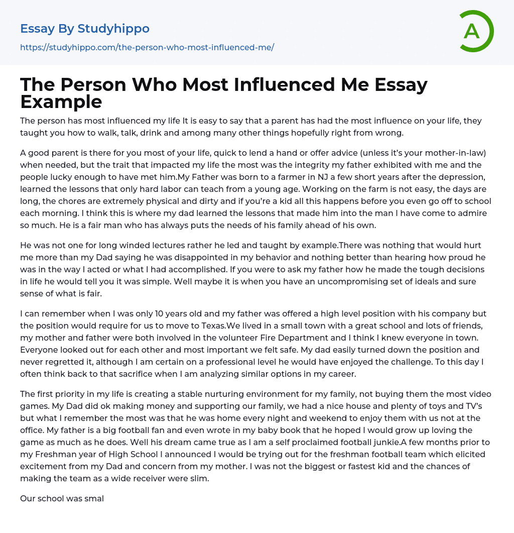 The Person Who Most Influenced Me Essay Example