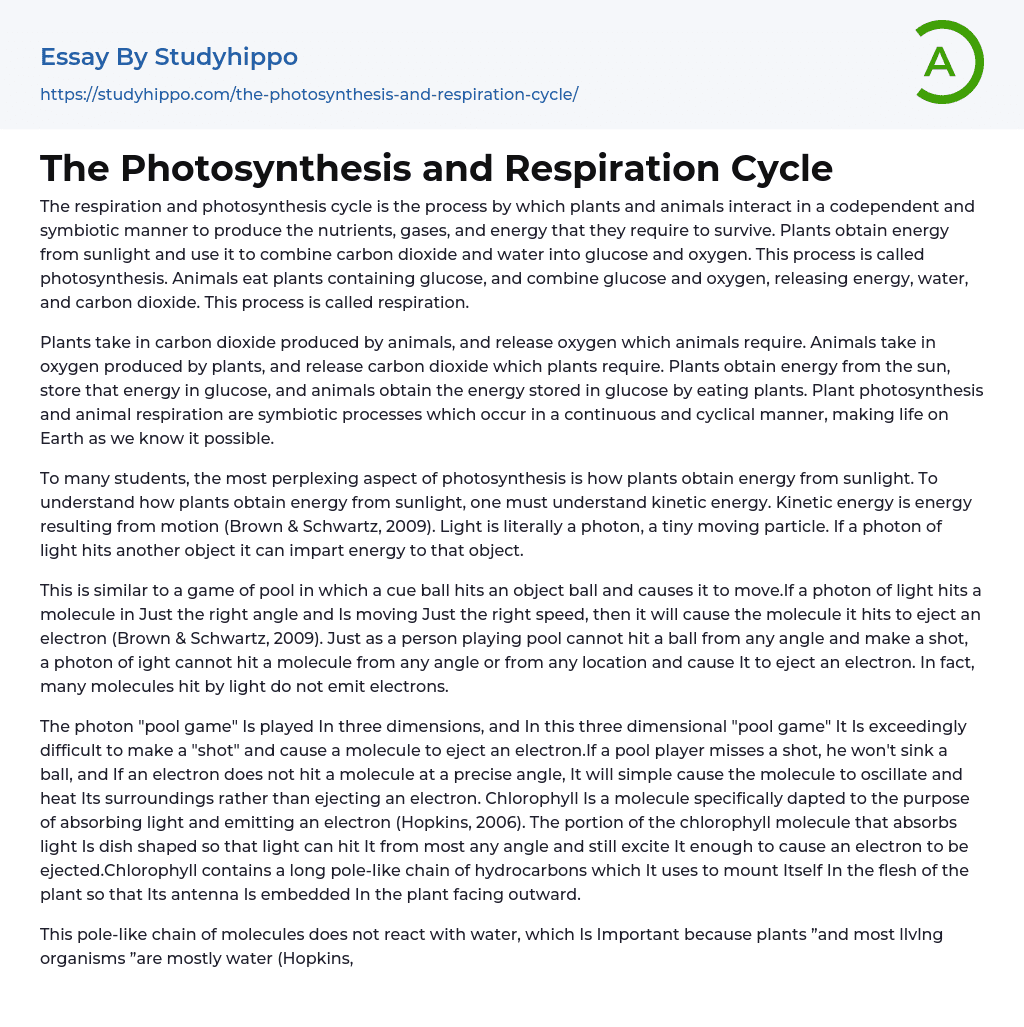 5 paragraph essay on photosynthesis