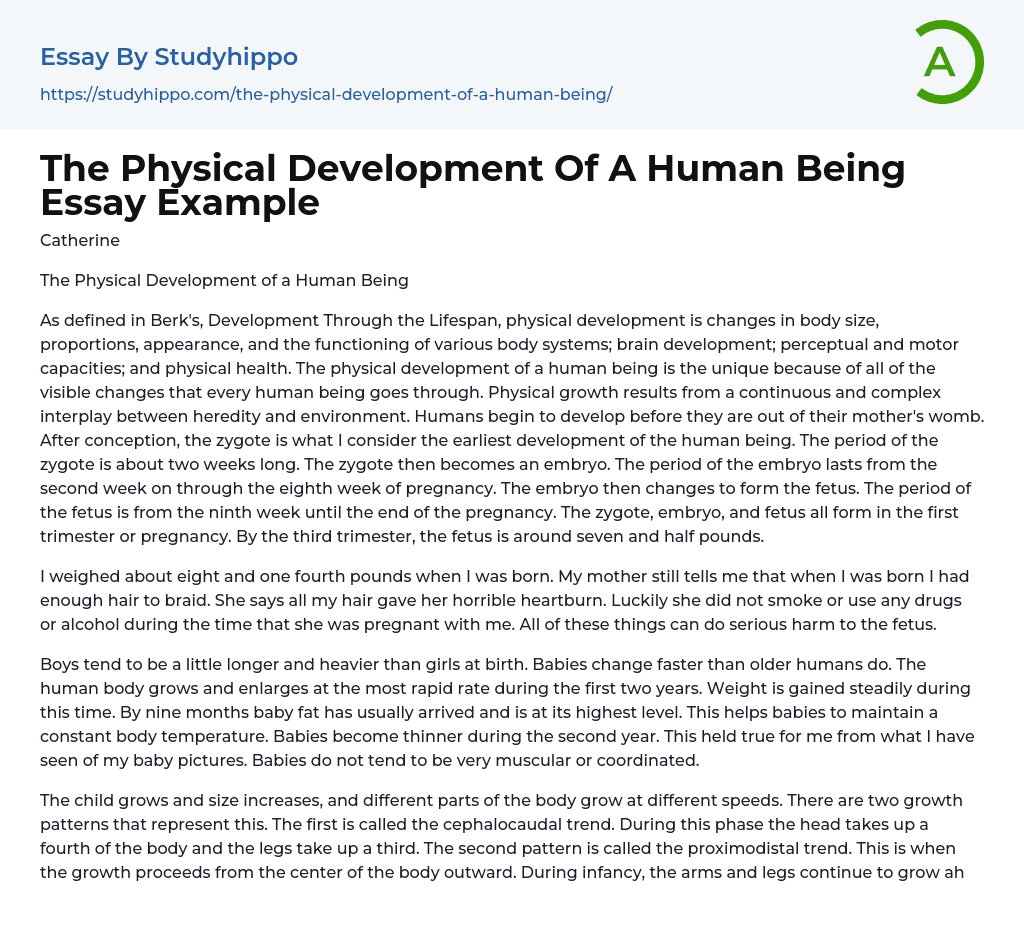 The Physical Development Of A Human Being Essay Example