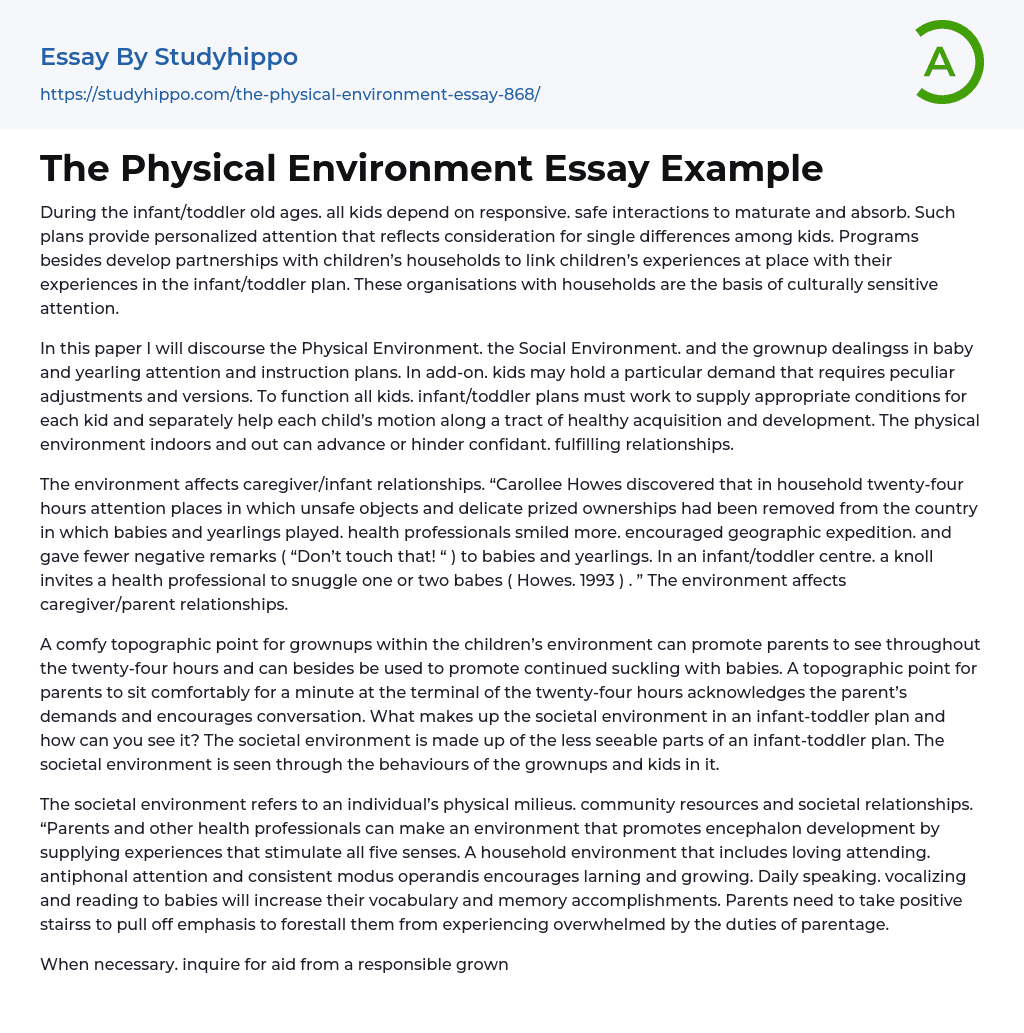 The Physical Environment Essay Example