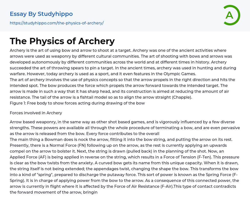 The Physics of Archery Essay Example