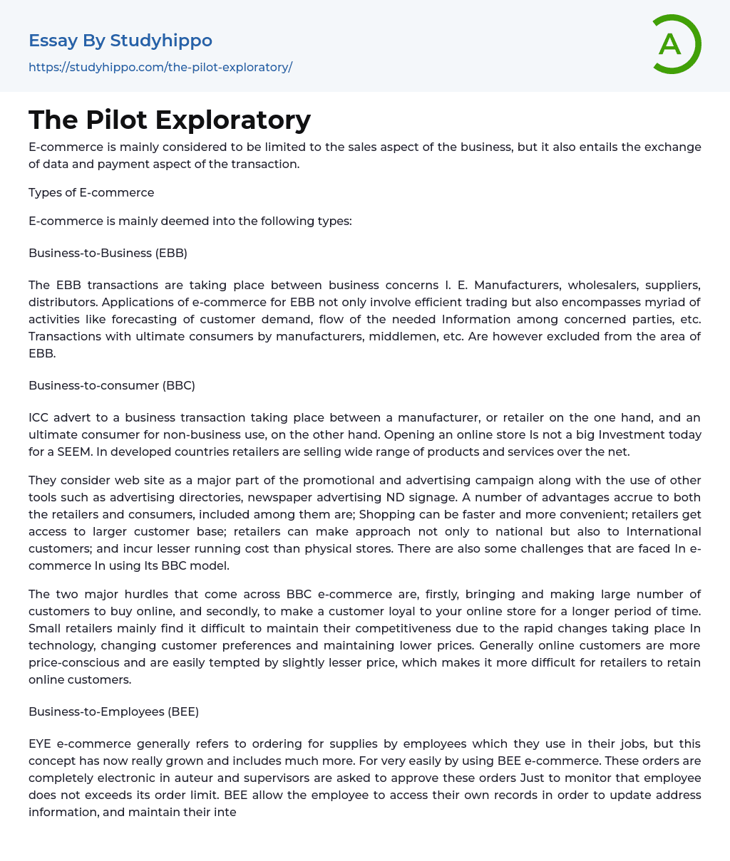 The Pilot Exploratory Essay Example