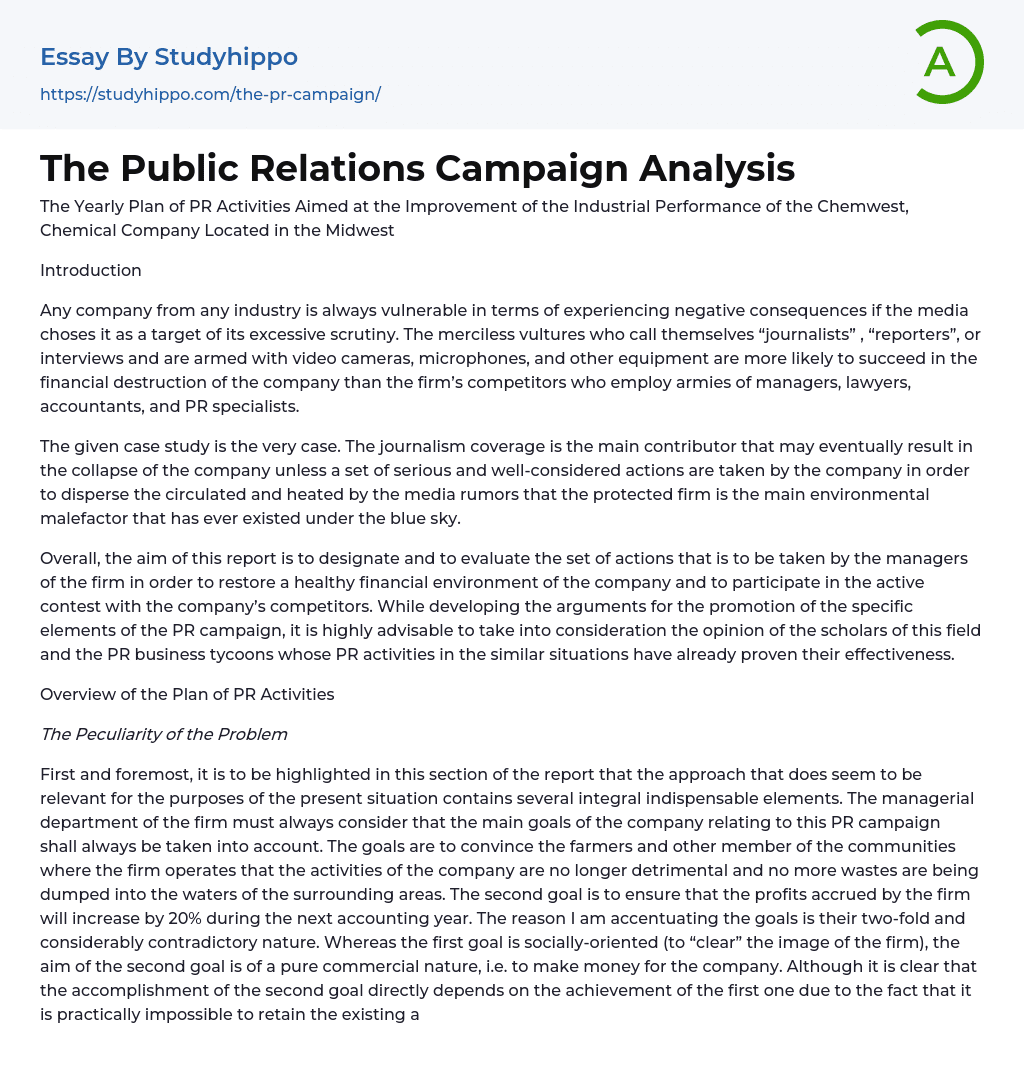 The Public Relations Campaign Analysis Essay Example
