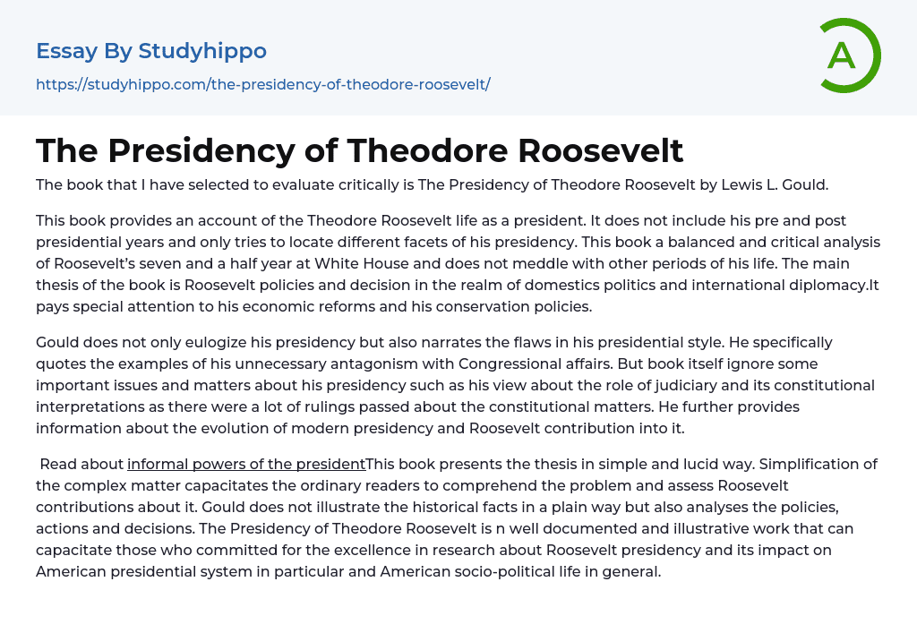 The Presidency of Theodore Roosevelt Essay Example