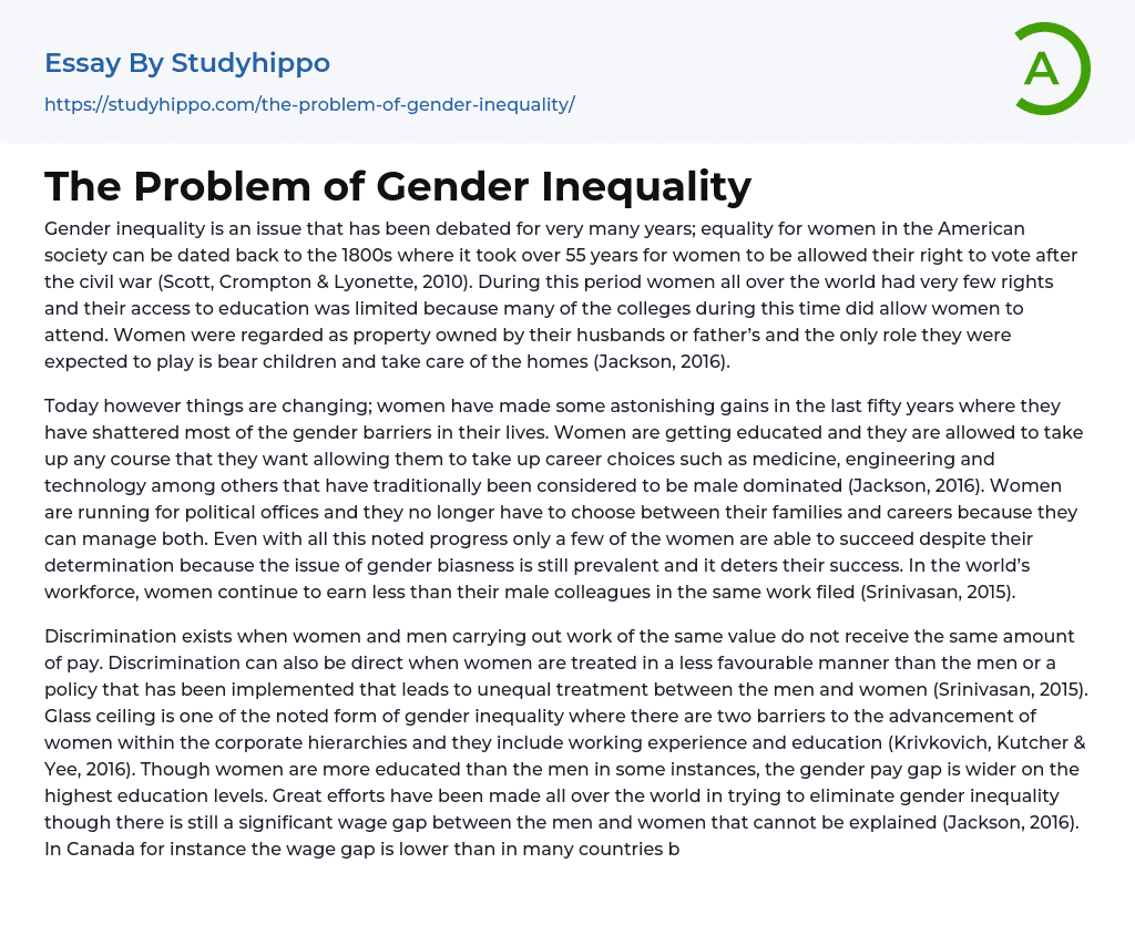 The Problem of Gender Inequality Essay Example