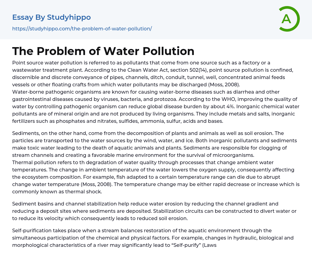 The Problem of Water Pollution Essay Example
