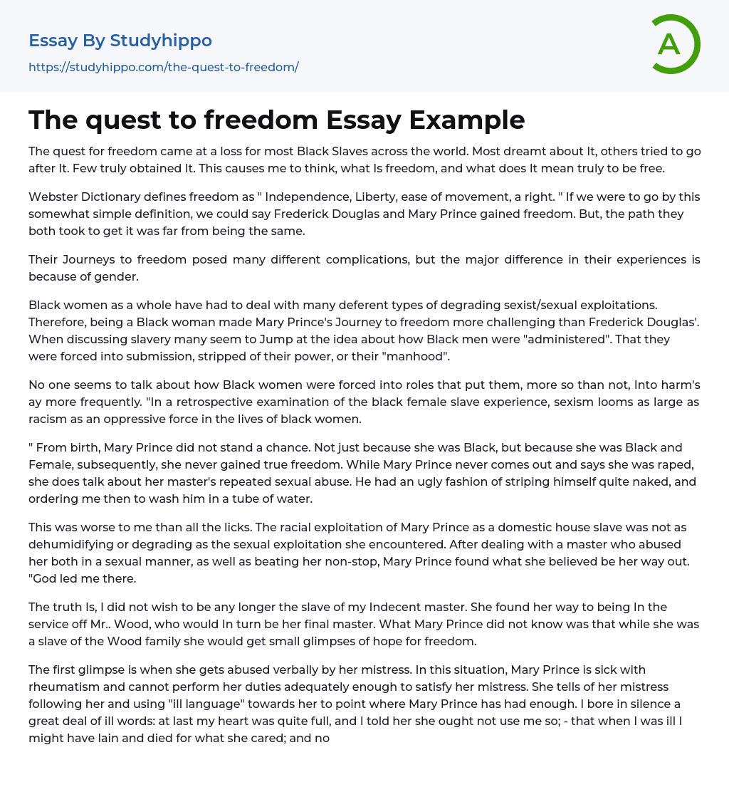 freedom essay examples