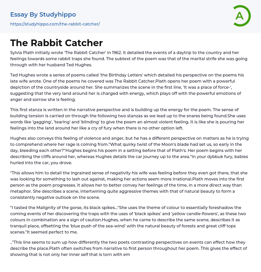 The Rabbit Catcher Essay Example