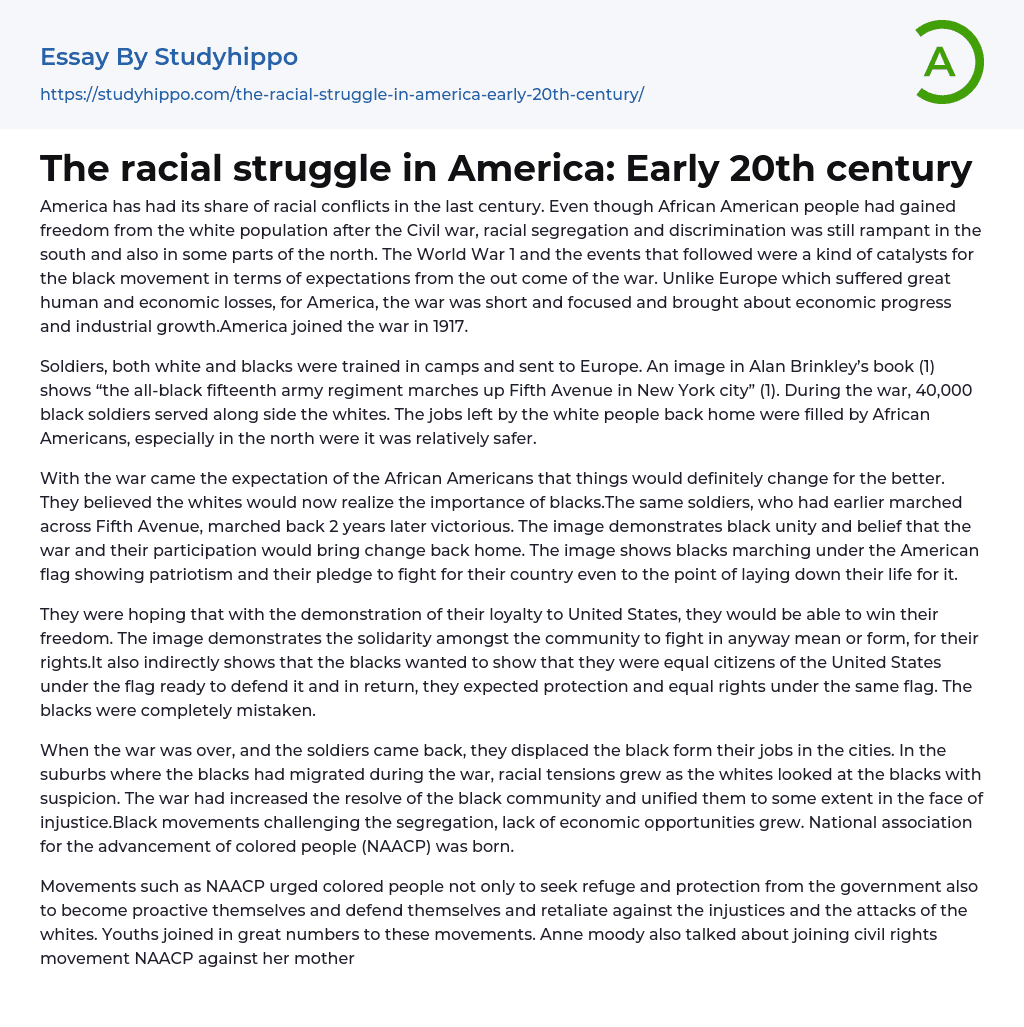 The racial struggle in America: Early 20th century Essay Example