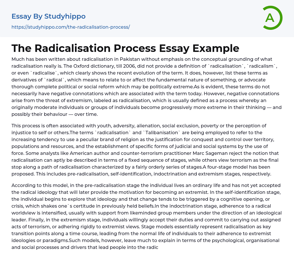 The Radicalisation Process Essay Example