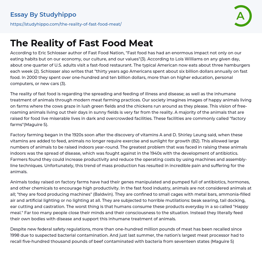 The Reality of Fast Food Meat Essay Example