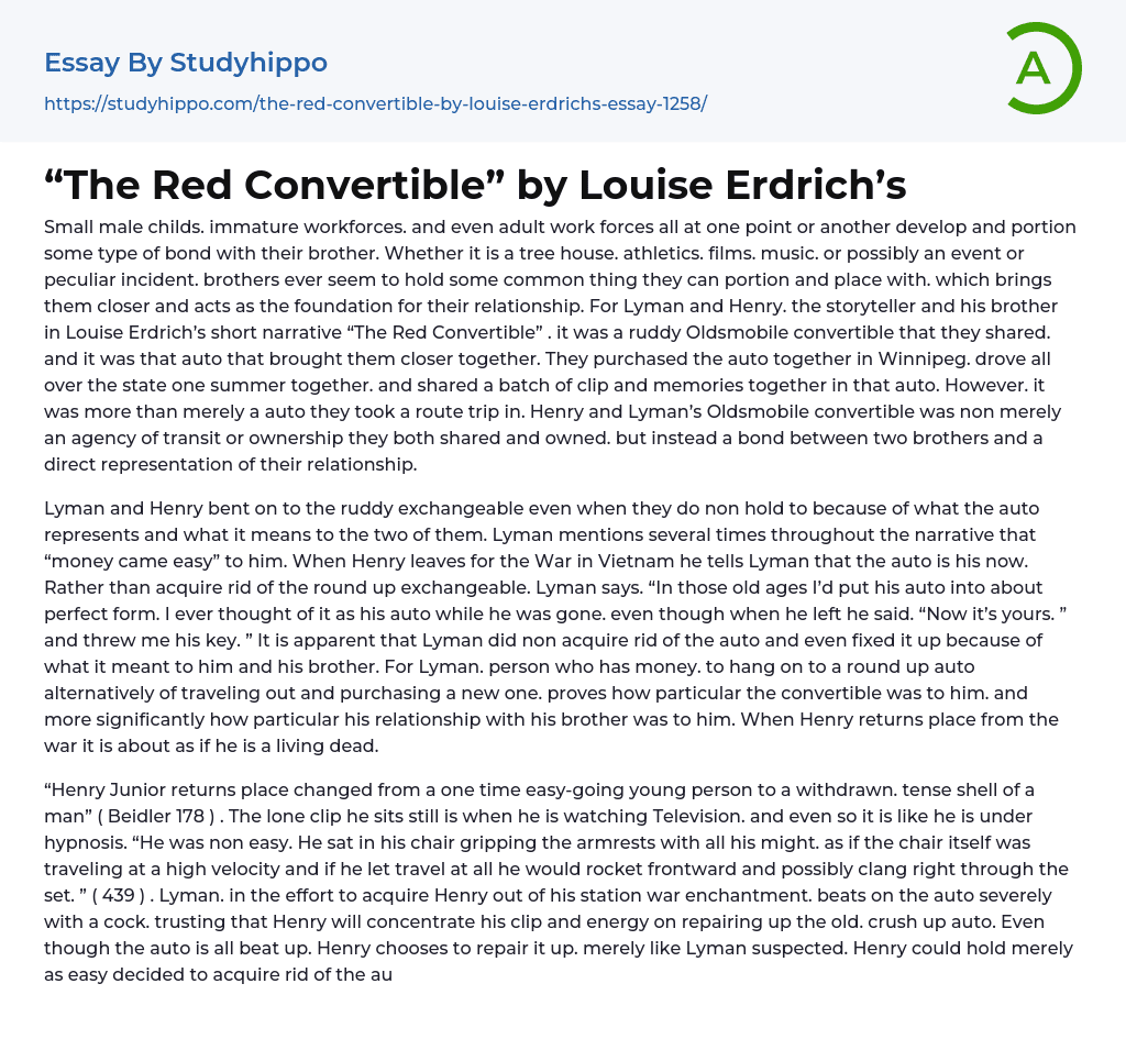 “The Red Convertible” by Louise Erdrich’s Essay Example