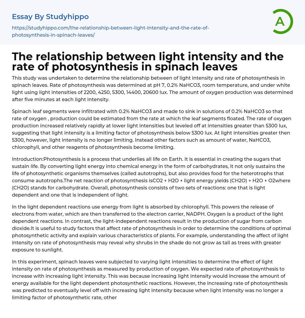 Light Intensity and Photosynthesis in Spinach Leaves