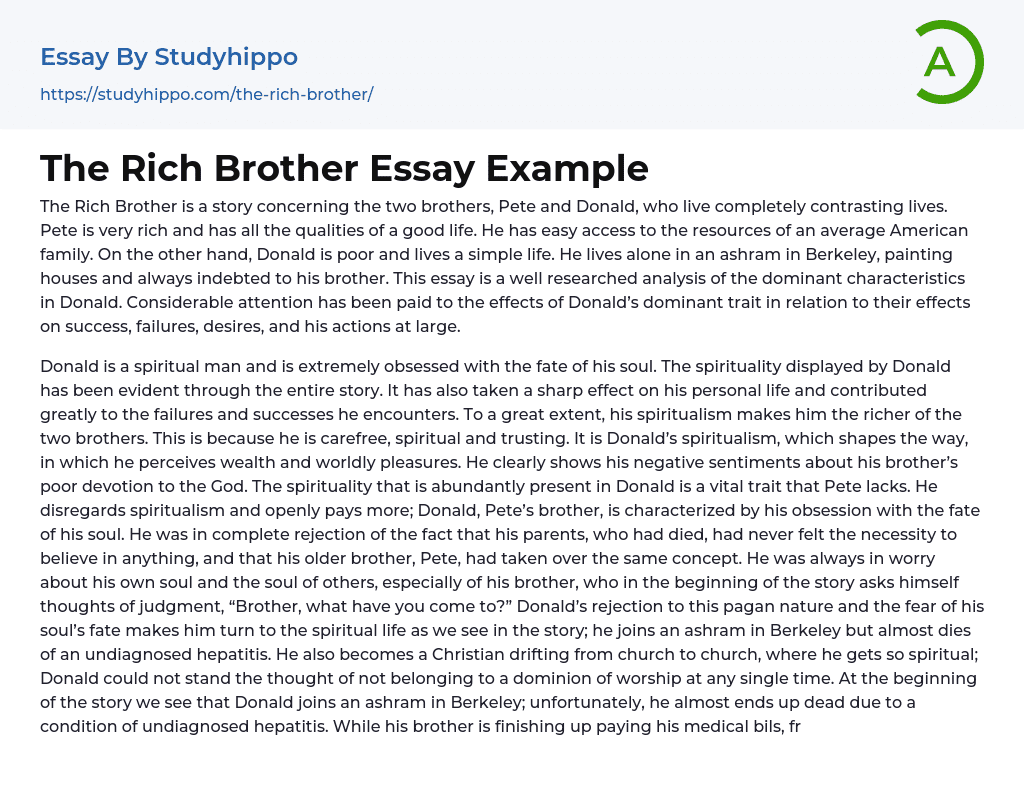 The Rich Brother Essay Example
