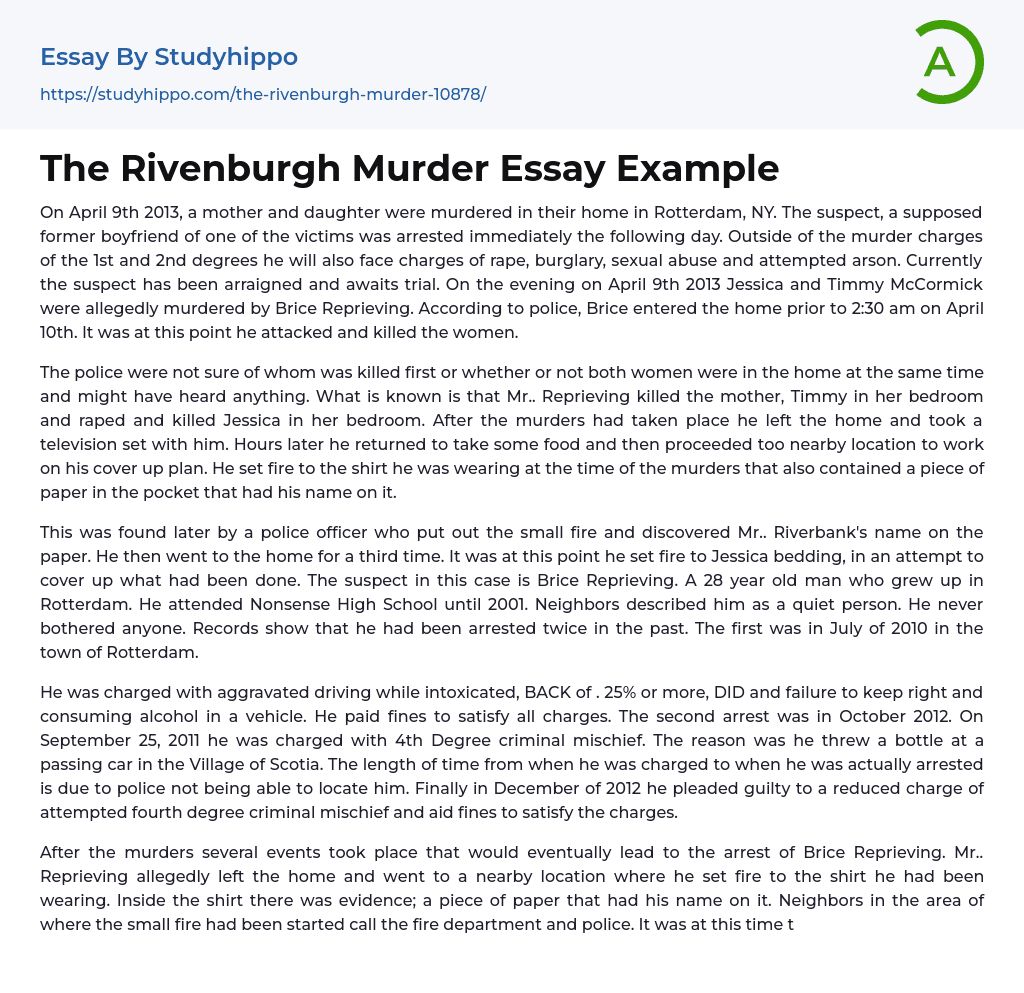 The Rivenburgh Murder Essay Example