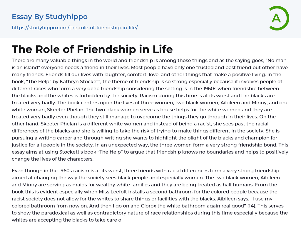 The Role of Friendship in Life Essay Example