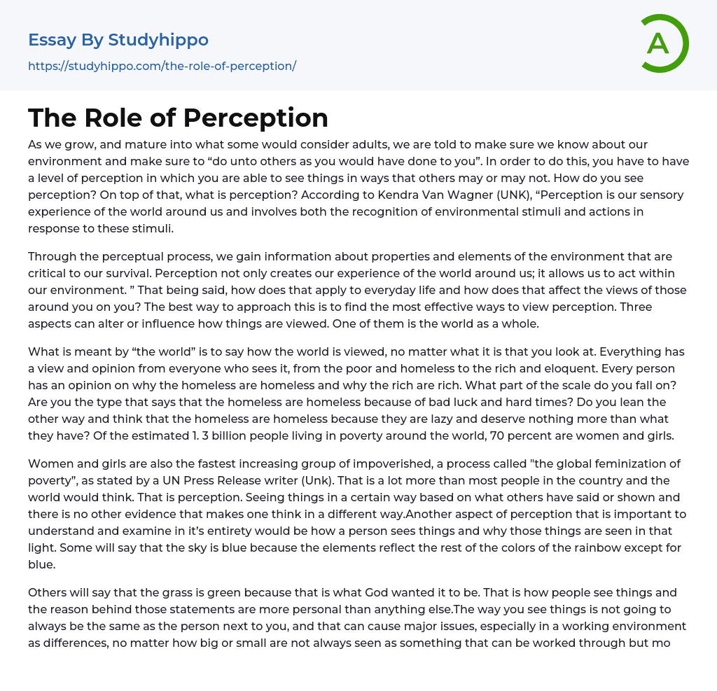 The Role of Perception Essay Example