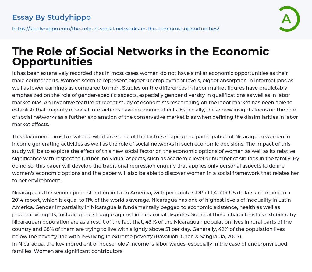 The Role of Social Networks in the Economic Opportunities Essay Example