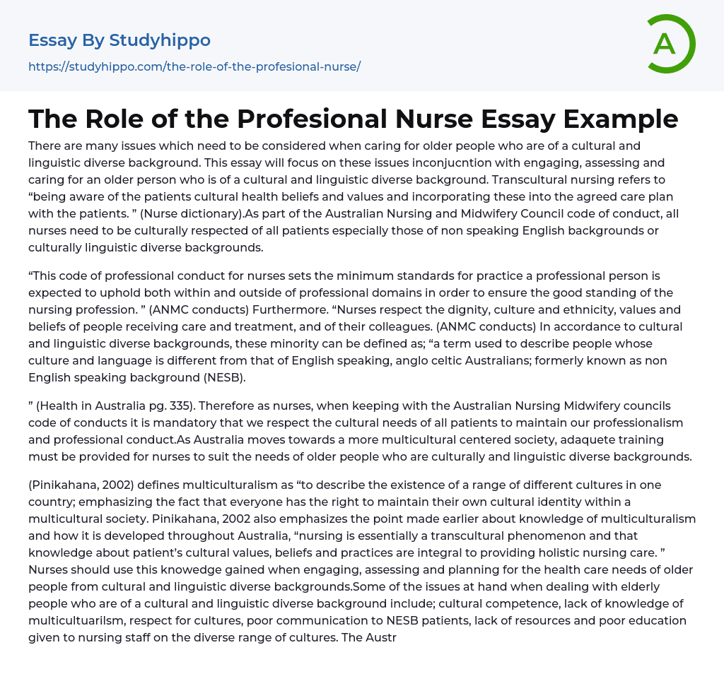 The Role of the Profesional Nurse Essay Example