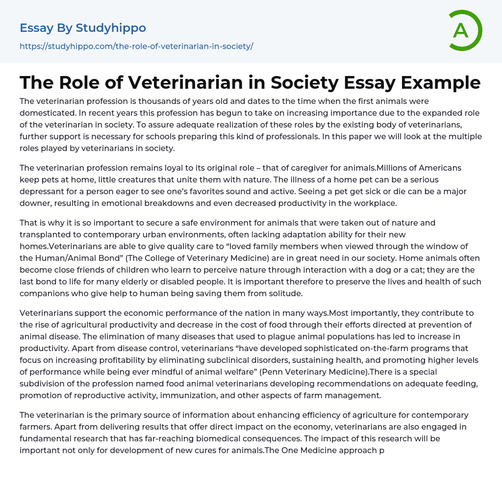 essay about veterinarian