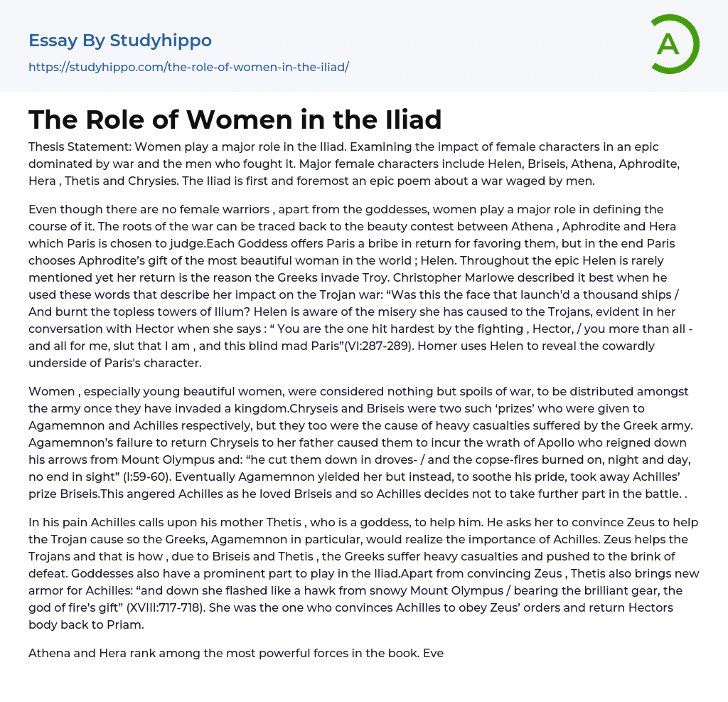 The Role of Women in the Iliad Essay Example