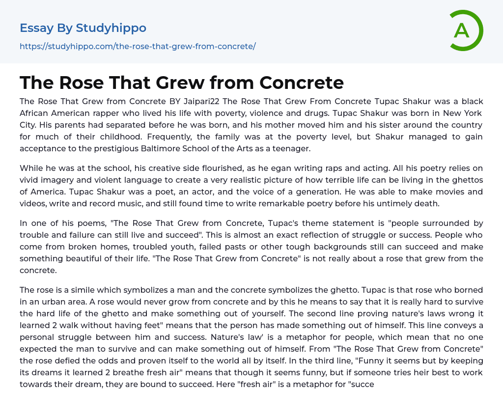 The Rose That Grew from Concrete: Tupac Shakur Essay Example