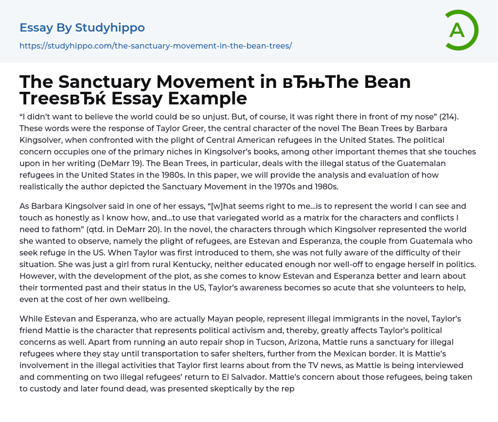 The Sanctuary Movement in “The Bean Trees” Essay Example