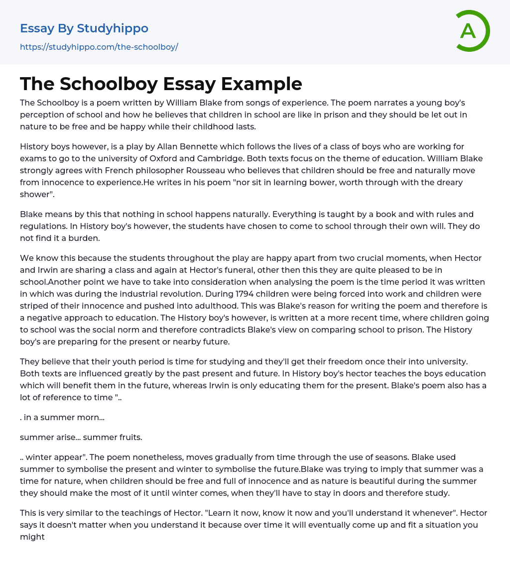 The Schoolboy Essay Example
