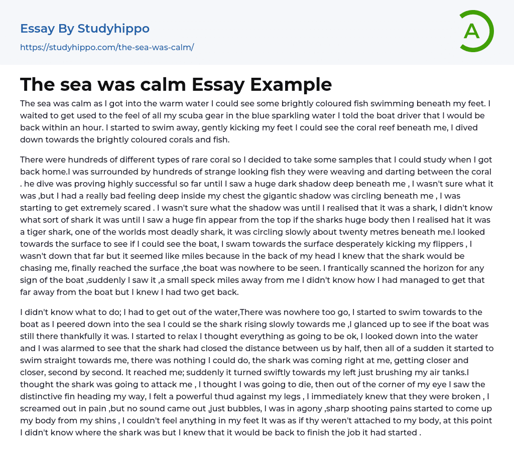 The sea was calm Essay Example