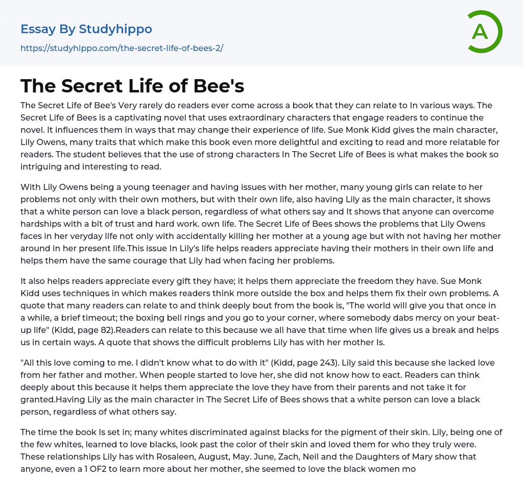 The Secret Life of Bee’s Essay Example