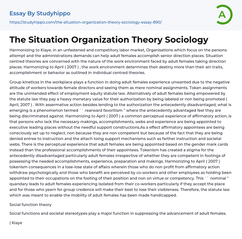 The Situation Organization Theory Sociology Essay Example