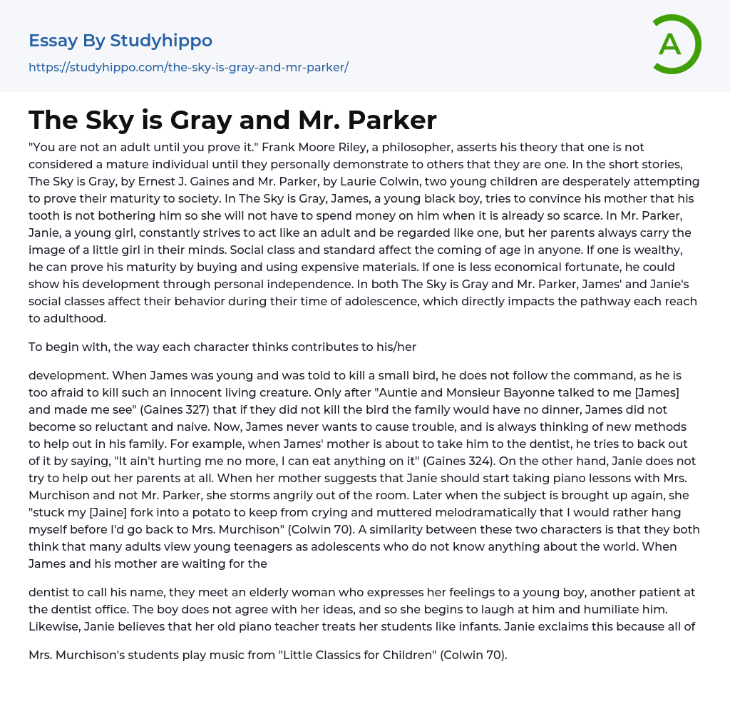 The Sky is Gray and Mr. Parker Essay Example