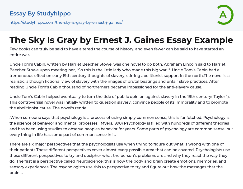 The Sky Is Gray by Ernest J. Gaines Essay Example