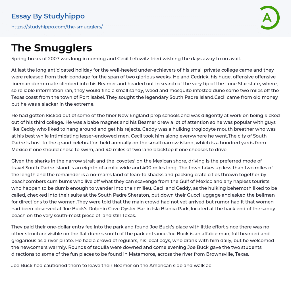 The Smugglers Essay Example