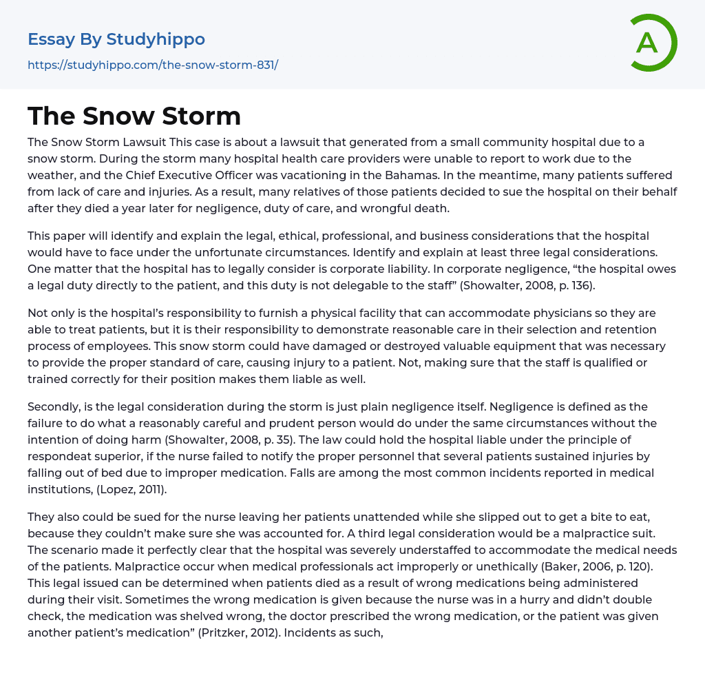 The Snow Storm Essay Example