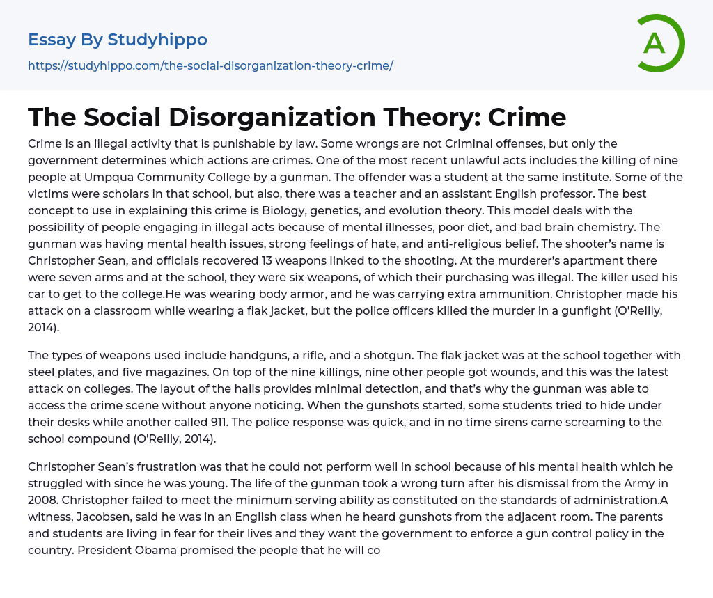 The Social Disorganization Theory: Crime Essay Example