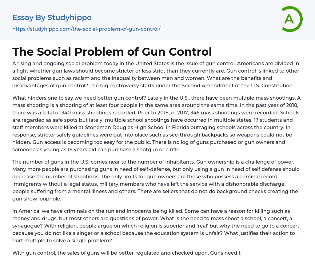 essay ideas on gun control