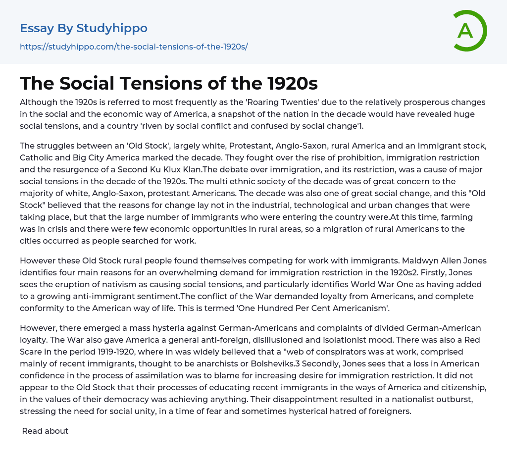 The Social Tensions of the 1920s Essay Example