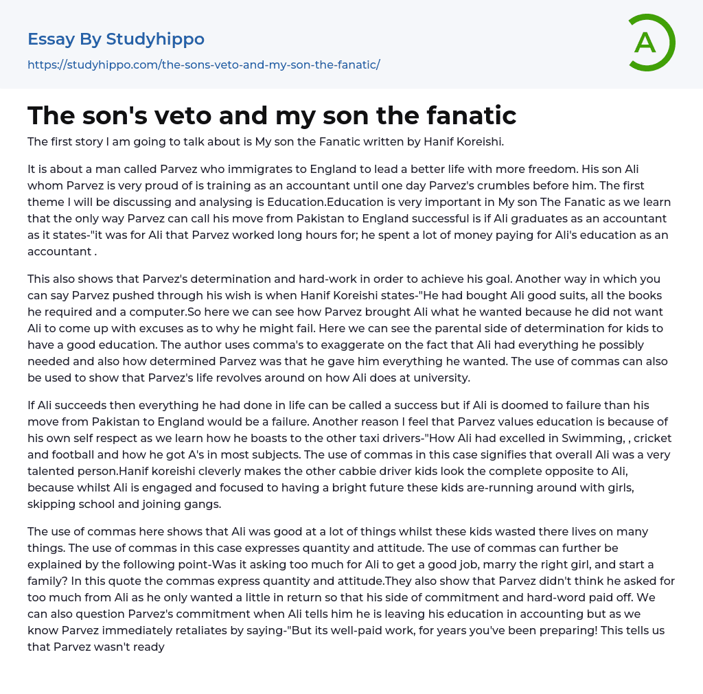 The son’s veto and my son the fanatic Essay Example
