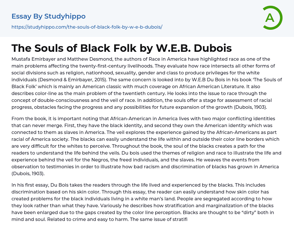 The Souls of Black Folk by W.E.B. Dubois Essay Example