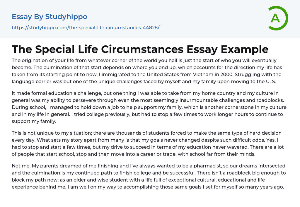 The Special Life Circumstances Essay Example