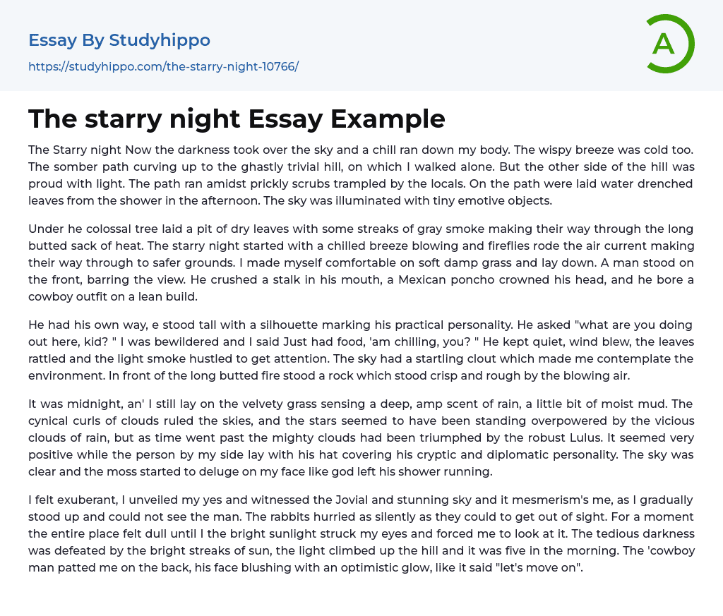 The starry night Essay Example