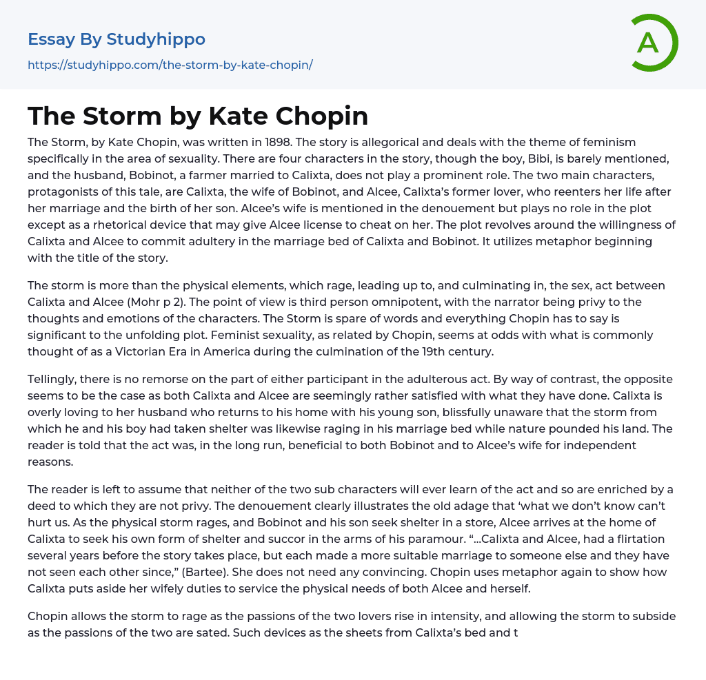 The Storm by Kate Chopin Essay Example