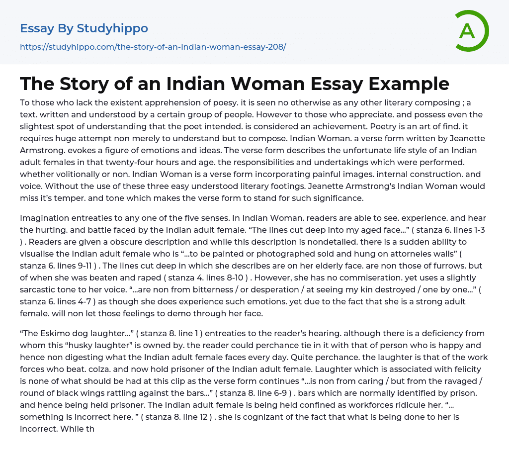 The Story of an Indian Woman Essay Example